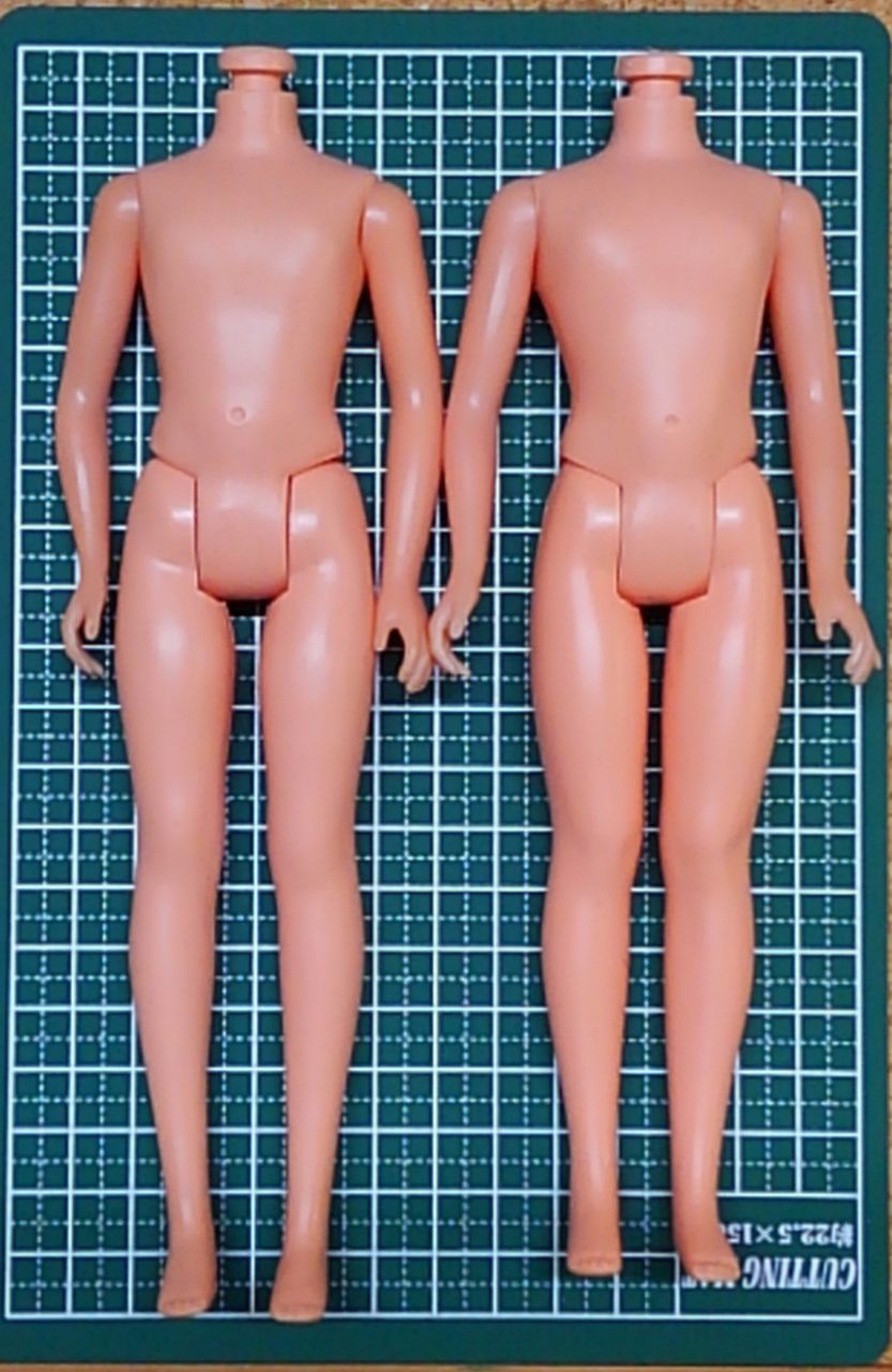 ペッパーちゃんのあれこれ : ながいぬのみちくさ