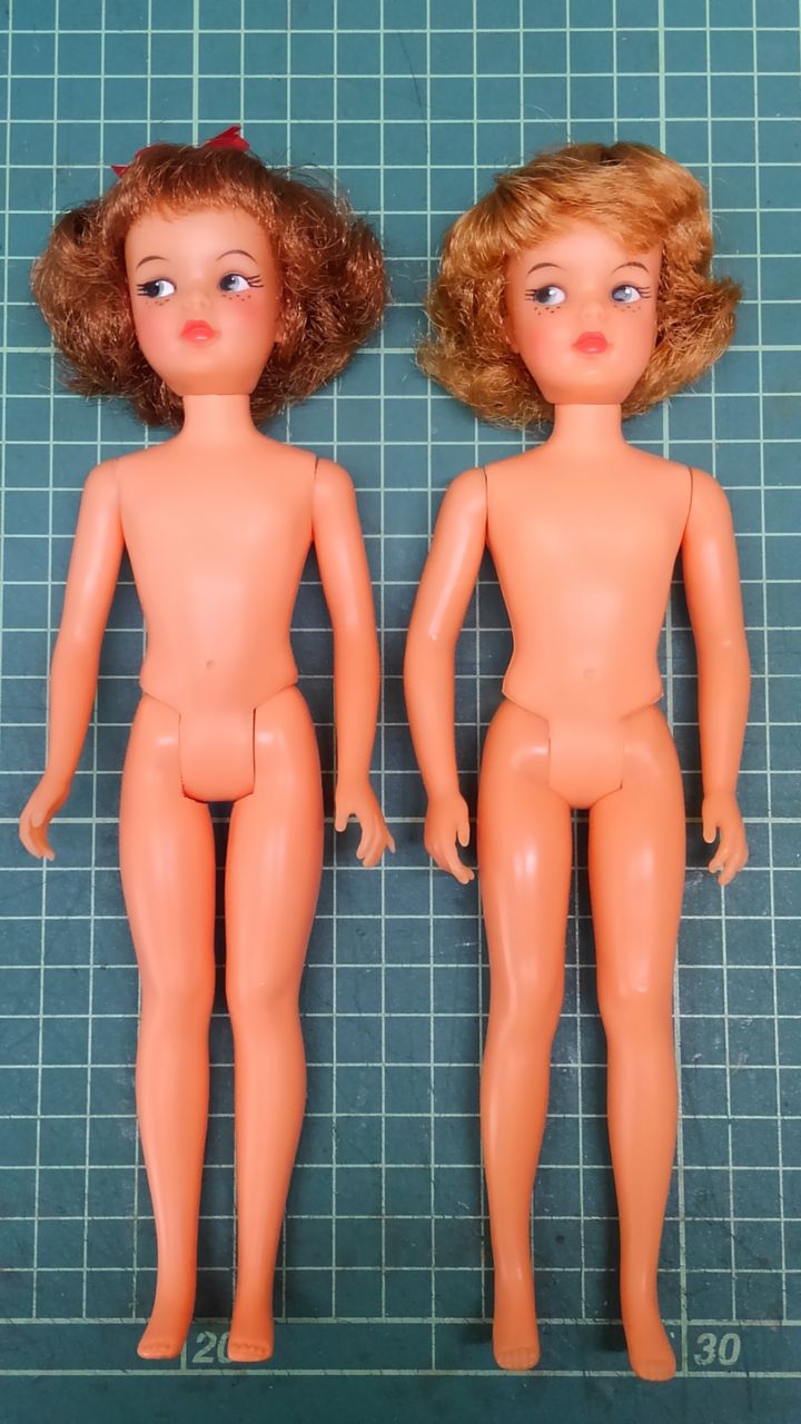 ペッパーちゃんのあれこれ : ながいぬのみちくさ