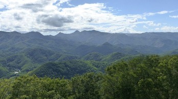 P1000993a