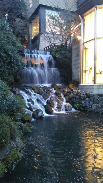 椿山荘のホタルを泊まらずに楽しむ裏ワザ 映画館の居心地について調べたよ