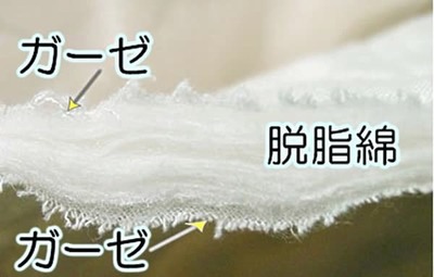 ¥Ñ¥·¡¼¥ÞÀ¸ÃϤÎÃÇÌÌ