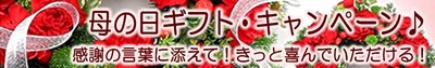 mather gift_bana_w758