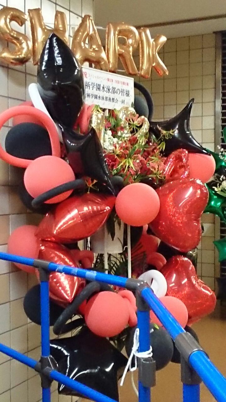 Free イベント両国国技館行ってきた ぴんくの平凡すぎる日常