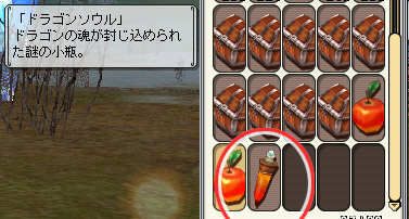 189_ドラゴンソウル