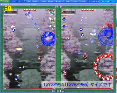 1315_sizer