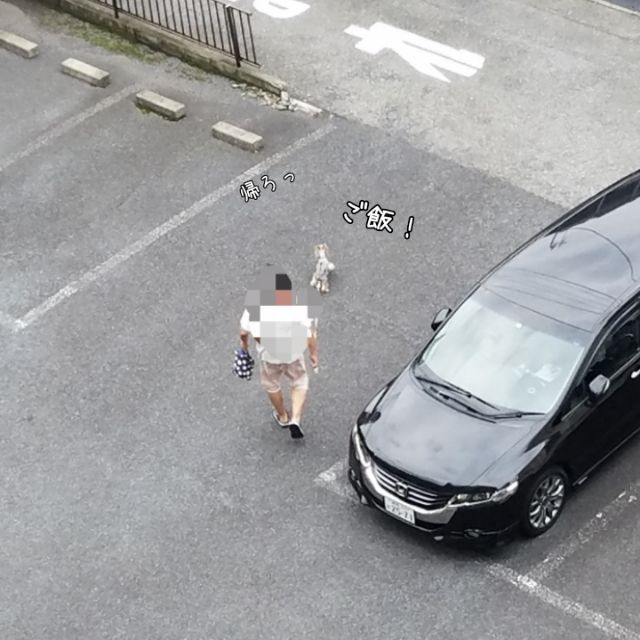 おばさん 盗撮 散歩盗撮 おばさん編 : どらどらどら＋ぎん