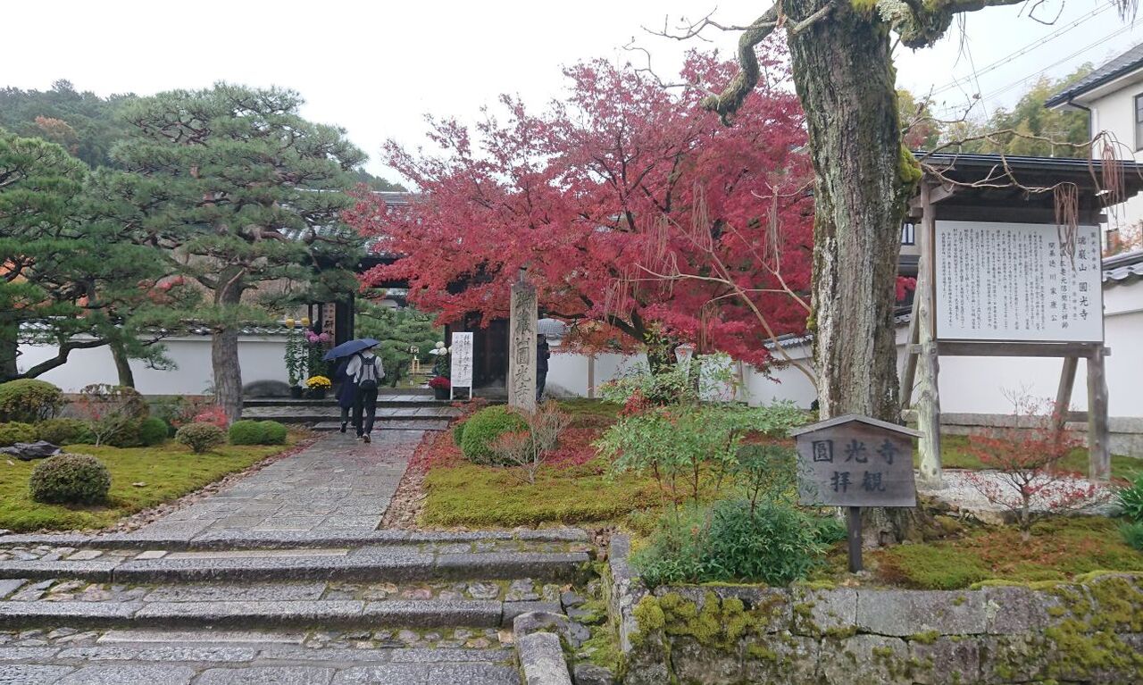 京都 大阪旅01 京都府の紅葉名所人気ランキング1位 圓光寺 Dora S Funny Life 楽しい旅とグルメな話 他 京都 大阪旅01 京都府の紅葉名所人気ランキング1位 圓光寺 Dora S Funny Life 楽しい旅とグルメな話 他