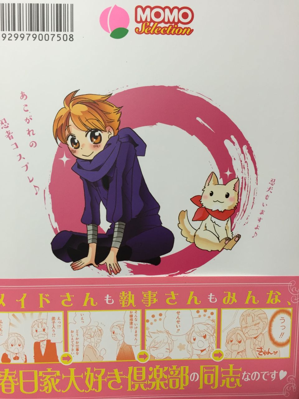 晴れのちシンデレラ 9巻 紹介 ドラドラの部屋 晴れのちシンデレラ 9巻 紹介 ドラドラの部屋