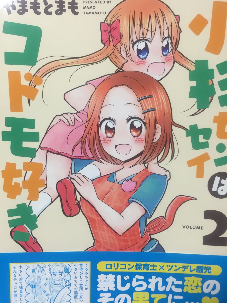 小杉センセイはコドモ好き 2巻 最終巻 紹介 ドラドラの部屋 小杉センセイはコドモ好き 2巻 最終巻 紹介 ドラドラの部屋