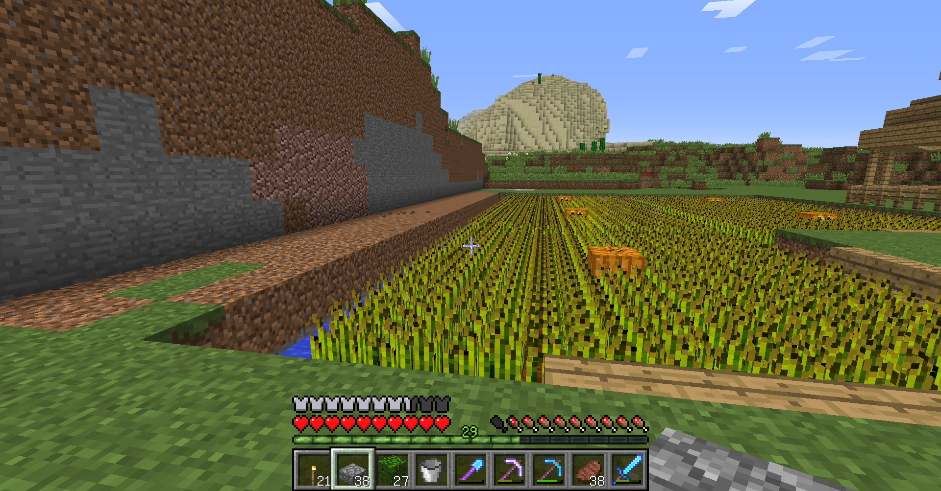 村を整地しよう どらのマインクラフト開拓歴史