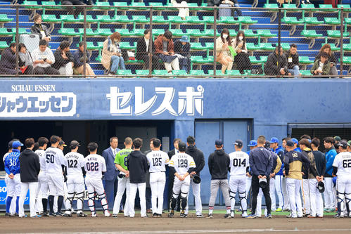 NPBが合同トライアウト廃止を検討中！選手会に提案された背景とは？