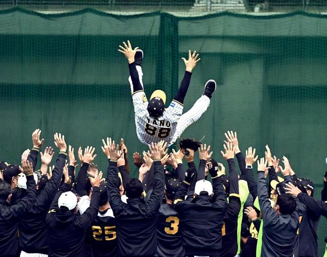 【朗報】阪神タイガース、首位と1.5ゲーム差ｗｗｗｗｗ　なお