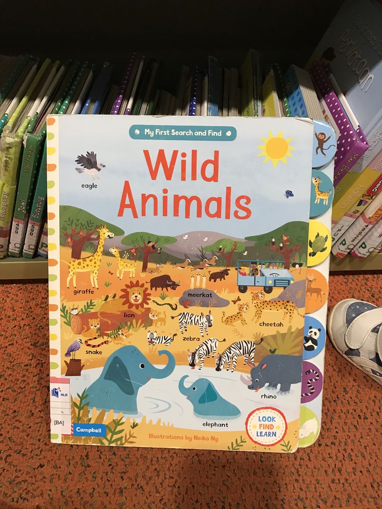 かわいい動物を探せ Wild Animals ドラ子のシンガポールおやこ英語日記 かわいい動物を探せ Wild Animals ドラ子のシンガポールおやこ英語日記