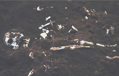 発見された謎の白骨