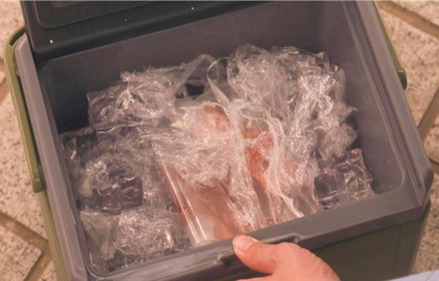 中には指らしきものが・・