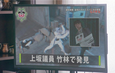 ミスパンダの可能性が高いと見られています