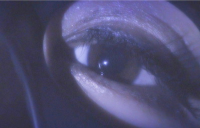 ワタシハ、ダレ