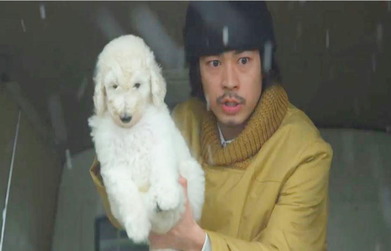 質問しても殺す