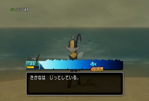 魚図鑑&オウムガイ04