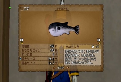 魚図鑑&フグ05