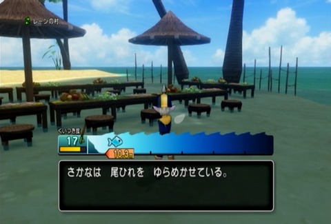 魚図鑑&ハナゴイ03