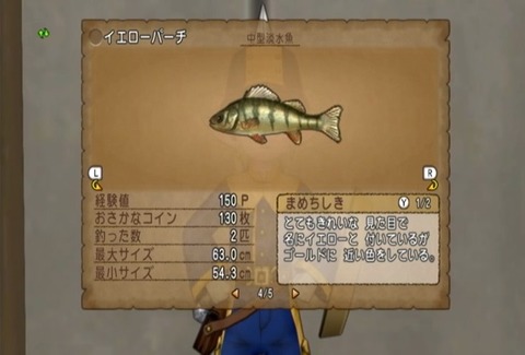 魚図鑑&イエロー05