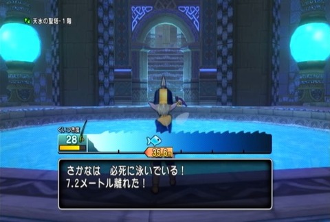 魚図鑑&コリドラス03