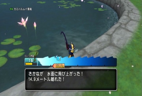 魚図鑑&ニシキゴイ03