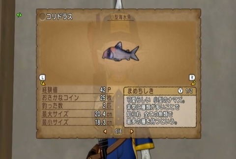 魚図鑑&コリドラス06