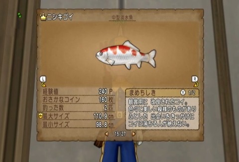 魚図鑑&ニシキゴイ05