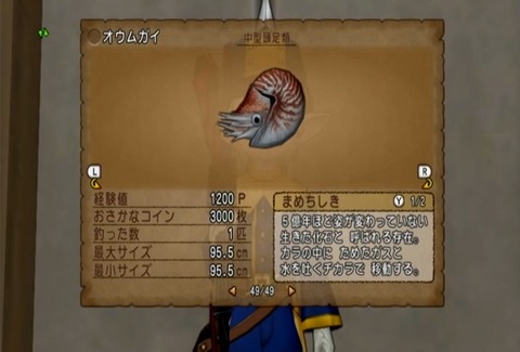 魚図鑑&オウムガイ06