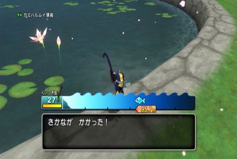 魚図鑑&コイ黒02