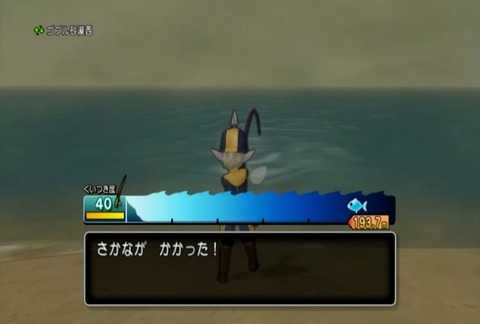 魚図鑑&オウムガイ02