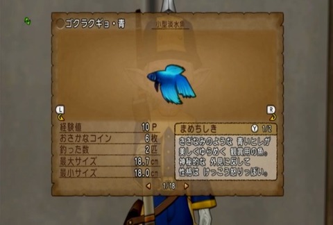 魚図鑑&ゴクラクギョ・青02