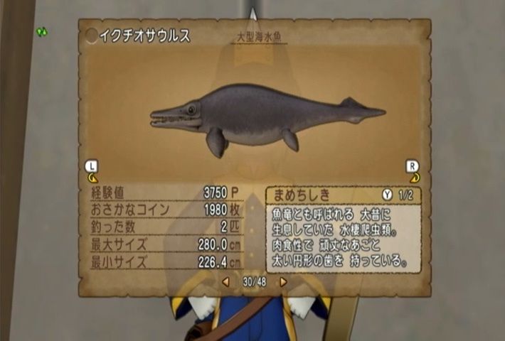 イク チオ サウルス イルカ