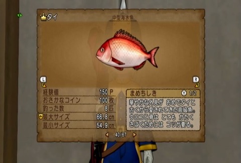 魚図鑑&タイ05