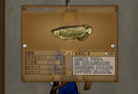 魚図鑑&ゴールデンアロワナ05