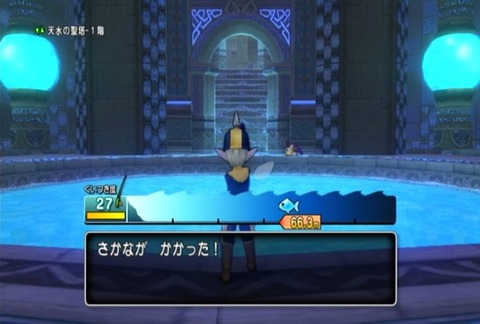 魚図鑑&コリドラス02