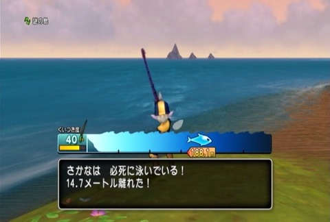 魚図鑑&ホシザメ03