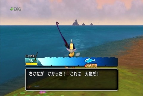 魚図鑑&ホシザメ02
