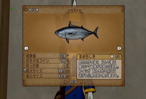 魚図鑑&カツオ05