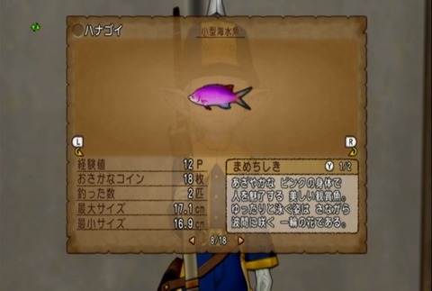 魚図鑑&ハナゴイ05
