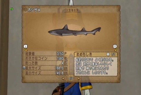 魚図鑑&ホシザメ08