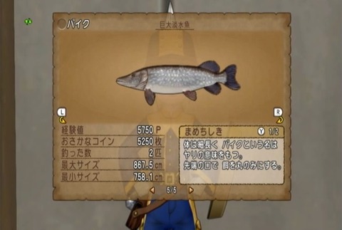魚図鑑&パイク06