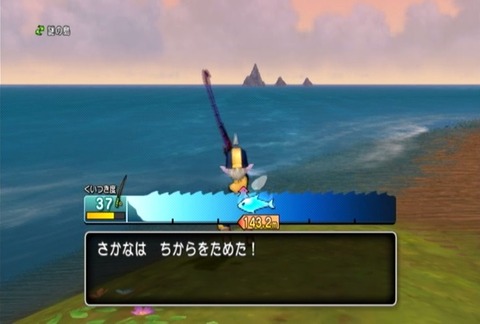 魚図鑑&ホシザメ05