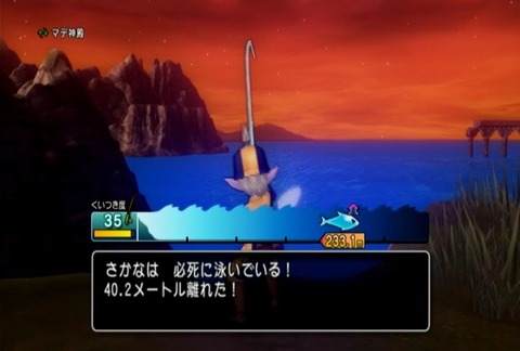 魚図鑑-アルビノホシエイ&ホシエイ05