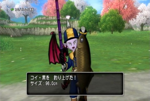 魚図鑑&コイ黒04