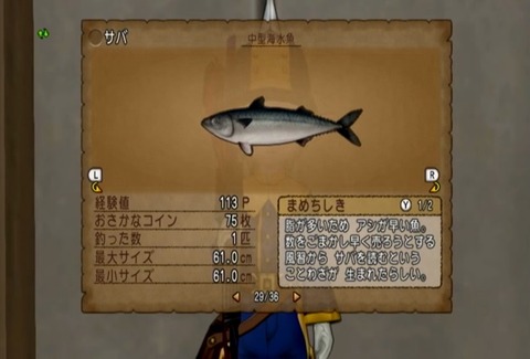 魚図鑑&サバ05