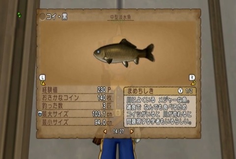 魚図鑑&コイ黒05