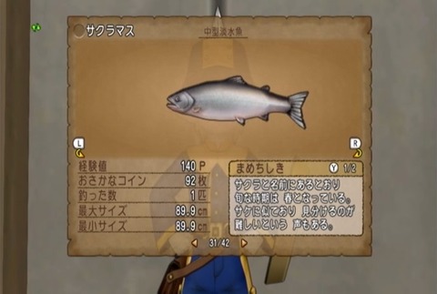 魚図鑑-サクラマス06